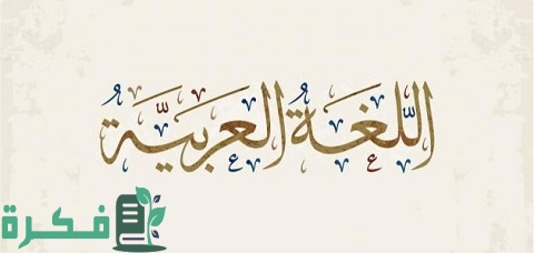 كيف نحمي اللغة العربية من الضياع