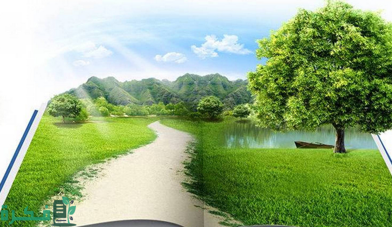 مفهوم التنمية المستدامة وشروط تحقيقها 1 55 e1596495932824 768x444 1