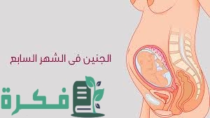 ما سبب ألم الثدي عند الحامل فى الشهر السابع 1 8F116942 DCD6 4976 AEB2 3B0FF557481F