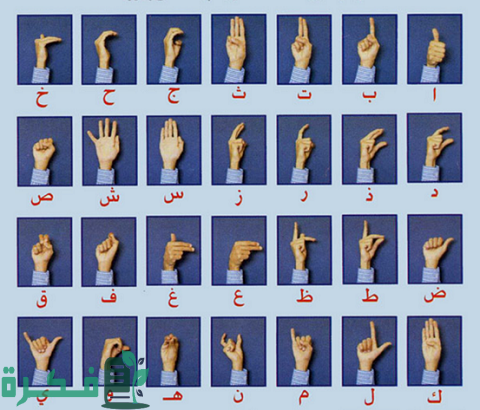 الحروف والأرقام بلغة الإشارة