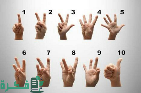 الحروف والأرقام بلغة الإشارة