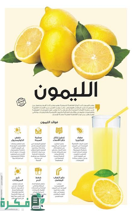 تجربتي مع الليمون للشعر 1 images 2022 11 22T233038.675
