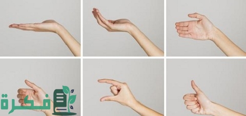 جميع الحروف والأرقام بلغة الإشارة 1 والأرقام بلغة الإشارة