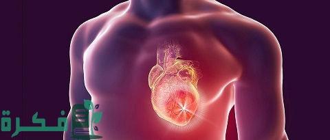 بحث عن العضلات القلبية