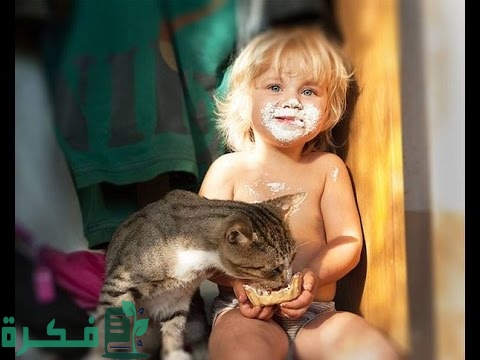 هل القطط تسبب أمراض للاطفال