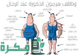 تجربتى مع نقص هرمون الذكورة 1 006489A1 DE7D 4AE7 81A6 1673711BA79B