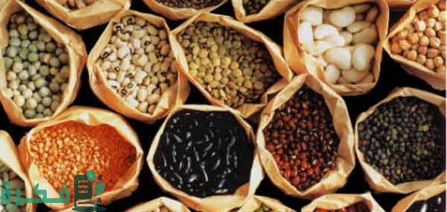 دراسة جدوى مشروع تجارة الحبوب بالكامل 1 1710128235165029