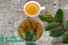 تجربتي مع ورق الجوافة للكحة للاطفال والرضع 1 7BAD1E11 444B 461C 84D0 649B4209B048