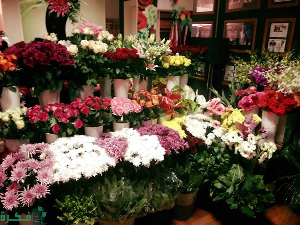 شرح خطوات فتح محل بيع ورد في الإمارات 1 flower shops in heliopolis