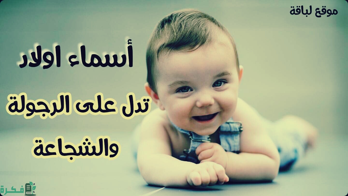 ❌ لم يتم التوليد 1 أولاد ملوك