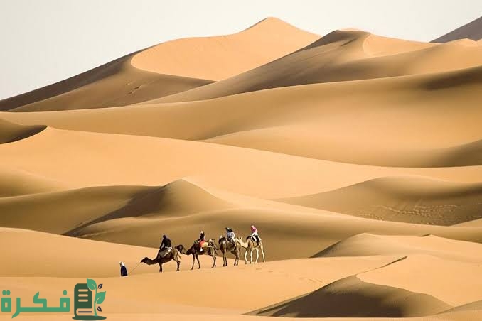 305 رمز أي قبيلة 1 FC83D4DE 26E5 401D AB3E 7D7F5F689F93