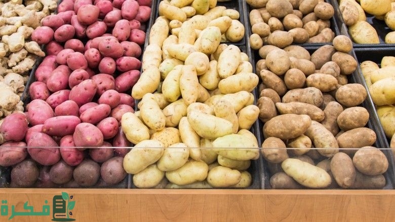 أنواع البطاطس واستخداماتها