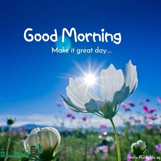 ما الرد على كلمة جود مورنينج good morning 1 images 2023 01 06T232550.468