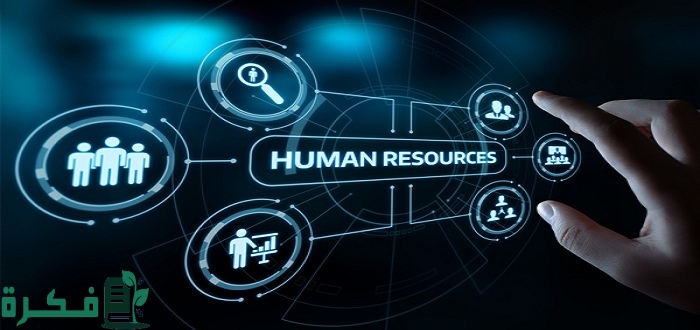 دور الموارد البشرية في تطوير المنظمات