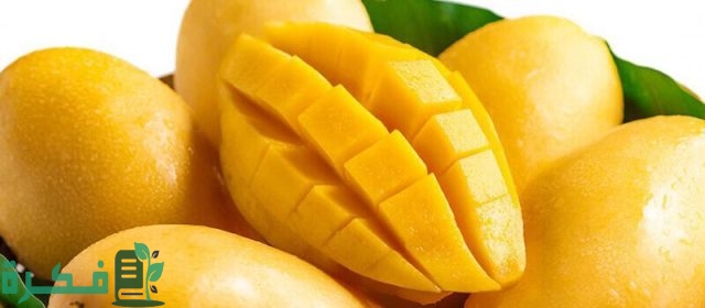 طريقة زراعة المانجو من