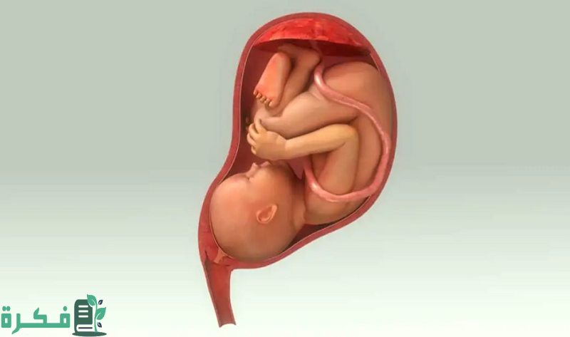 علامات نزول رأس الجنين في الحوض