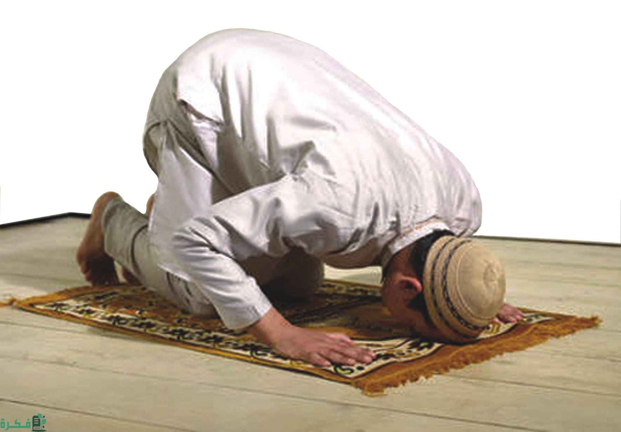 طريقة الجلوس الصحيحة في الصلاة