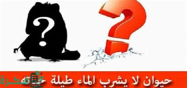 ما هو الحيوان الذي لا يشرب الماء 1 ما هو الحيوان الذي لا يشرب الماء؟