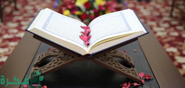 آيات قرآنية تدل على وحدانية الله 1 آيات قرآنية تدل على وحدانية الله