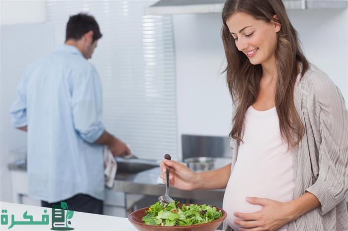 أفضل 5 أكلات ترفع الحديد بسرعة للحامل