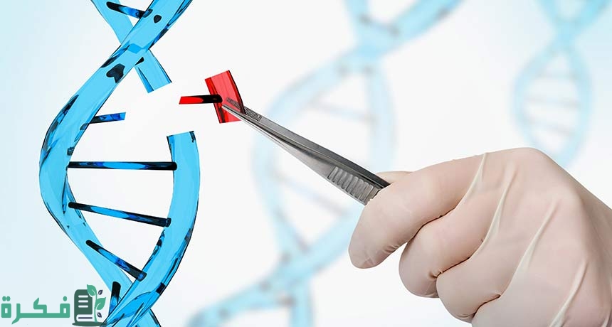 بحث عن المادة الوراثية dna 1 بحث عن المادة الوراثية dna