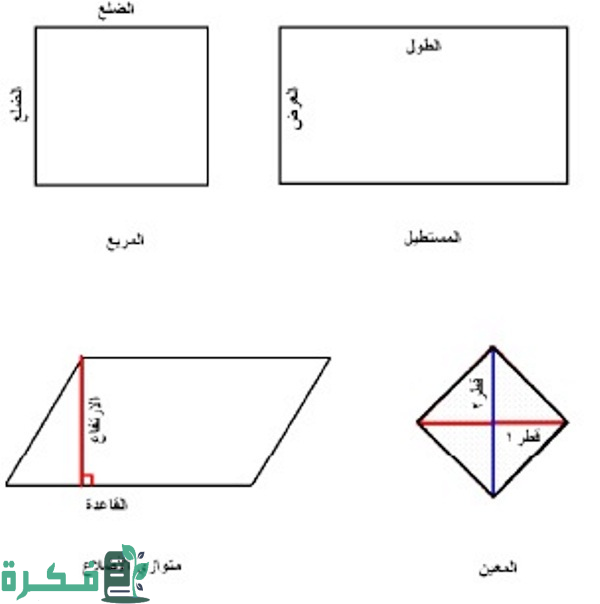 عند قياس مساحة الكتاب نضرب طوله في عرضه في ارتفاعه 1 مفهوم المساحة