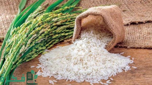 تفسير رؤية غسل الأرز