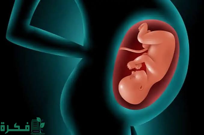 تفسير رؤية خروج الجنين من البطن