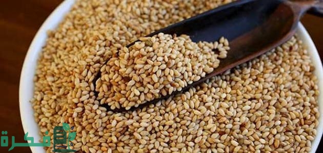 شرح خطوات استخدام السمسم لتنظيم الهرمونات; أهم فوائد السمسم للرحم والمبايض 1 طريقة استخدام السمسم لتنظيم الهرمونات
