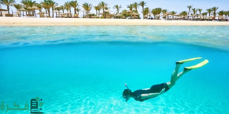ما هو احسن وقت لزيارة مرسى علم 1 أفضل وقت لزيارة مرسى علم