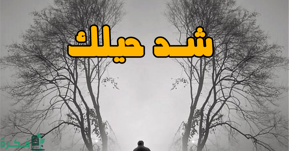 ما هو الرد على كلمة شد حيلك 1 الرد على كلمة شد حيلك