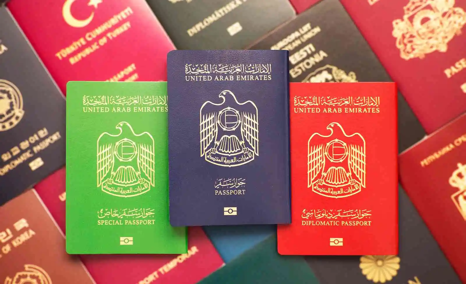 خطوات تحديث معلومات جواز السفر للمقيمين أبشر أعمال 1446 1 تحديث معلومات جواز السفر للمقيمين أبشر أعمال تحديث بيانات الجواز للعامل