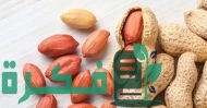 كم نسبة البروتين في الفول السوداني