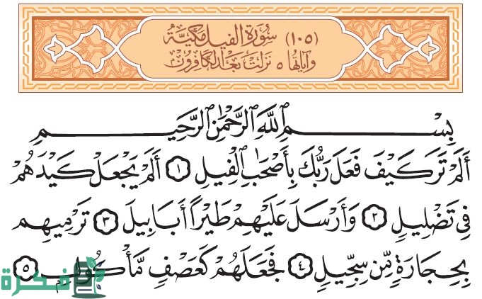 ما هو الطير المذكور في القرآن وليس له وجود حتى الآن