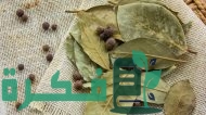 ما الفرق بين ورق الغار وورق اللورا؟