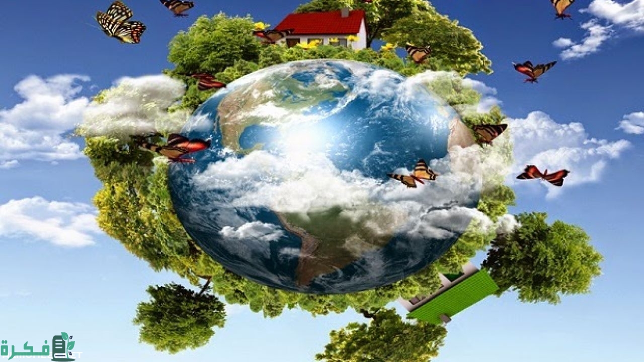 ما هي أكبر مستويات التنظيم الحيوي 1 ما هي أكبر مستويات التنظيم الحيوي