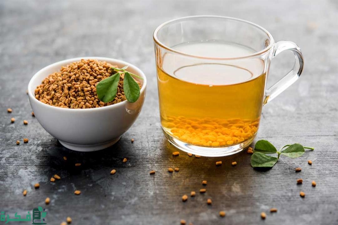 هل الحلبة تنزل الدورة المحتبسة 1 هل الحلبة تنزل الدورة المحتبسة