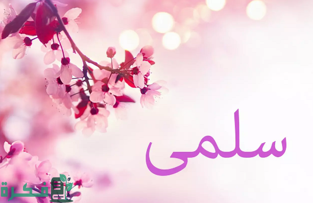 ❌ خطأ في الاتصال 1 ما دلع اسم سلمى؟