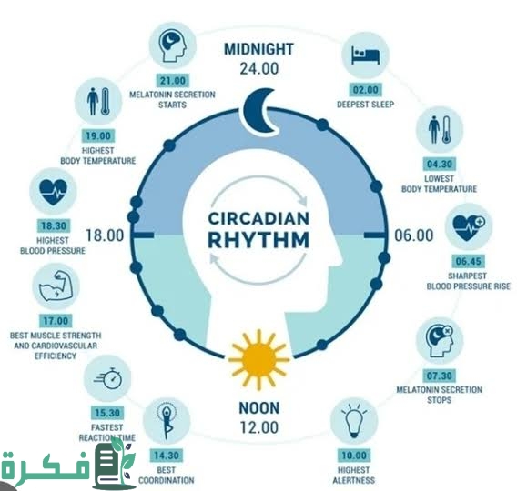 كيف احسب sleep cycle 