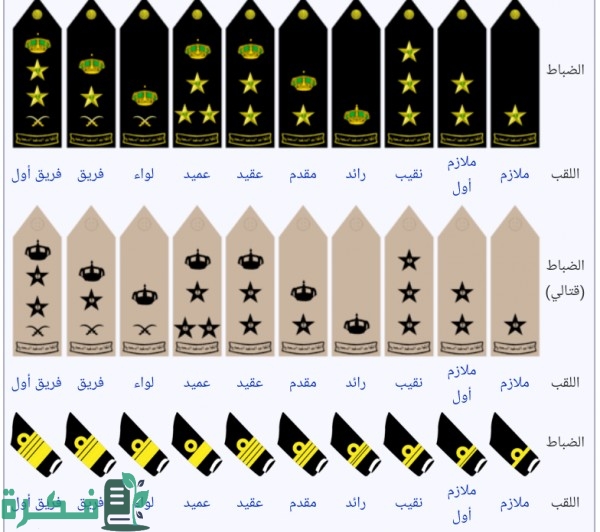 كم راتب الفريق الأول في السعودية كم راتب الفريق الأول في السعودية