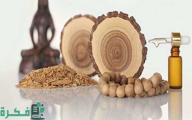 المشاريع الناجحة في السعودية 1 المشاريع الناجحة في السعودية
