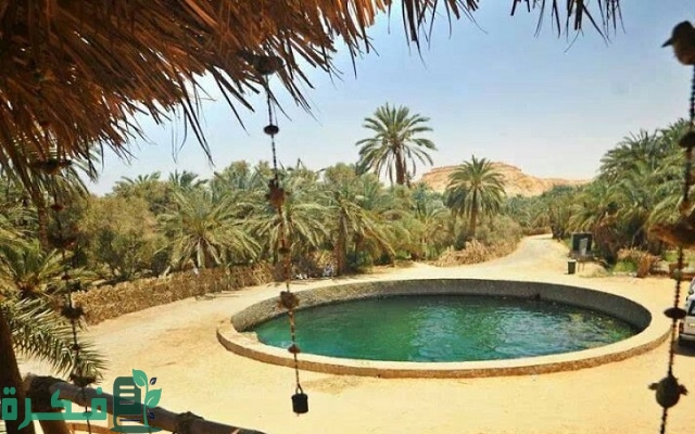 عروض رحلات واحة سيوة