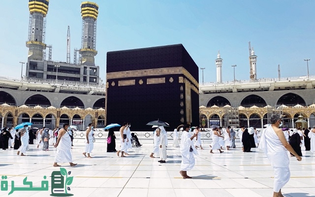 كم عدد الحجاج 2024 لكل دولة كم عدد الحجاج 2024 لكل دولة