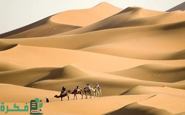 502 رمز اي قبيلة 502 رمز اي قبيلة