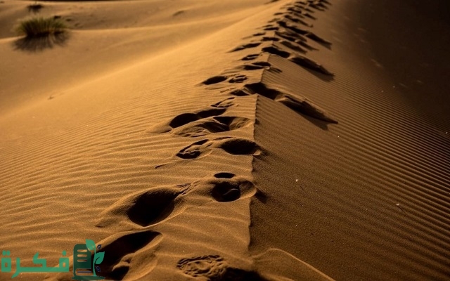 711 رمز اي قبيلة في المملكة 711 رمز اي قبيلة في المملكة