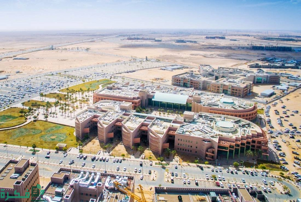 "جامعة الجوف" تعلن عن وظائف أكاديمية في 12 كلية عن طريق النقل 3 جامعة الجوف: وظائف أكاديمية في 12 كلية عن طريق «النقل»