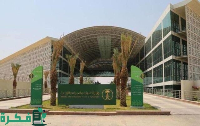 المملكة تعلن إطلاق أكاديمية وطنية للبيئة وبرنامج للحوافز والمنح في قطاع البيئة المملكة تعلن إطلاق أكاديمية وطنية للبيئة وبرنامج للحوافز والمنح في قطاع البيئة