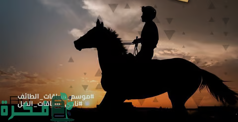 بدء فعاليات موسم سباقات الطائف للخيول 2025 1 بتنظيم نادي سباقات الخيل.. برنامج جديد لموسم سباقات الطائف 2024 يشهد تطويرًا بالجوائز المالية