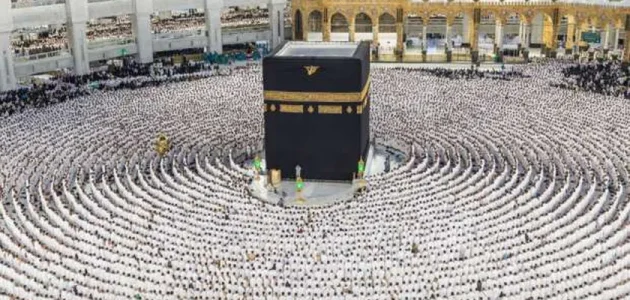 عدد الحجاج من كل دولة.. موسم الحج 2025 1 عدد الحجاج من كل دولة هذا العام