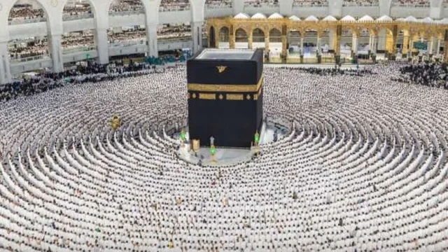 عدد الحجاج من كل